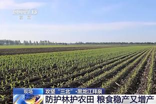 曼城枪手球员国家队比赛：曼城后防2人伤退，两队皆有2人踢满2场